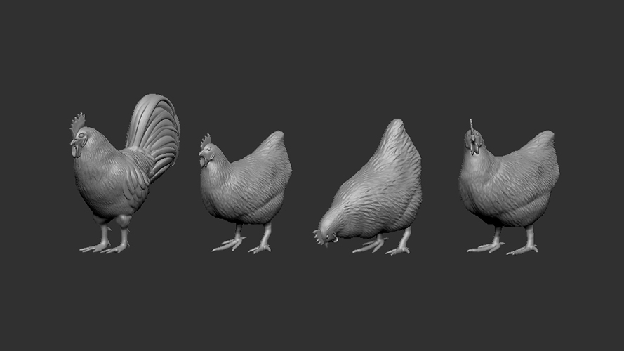 Cock & Hens