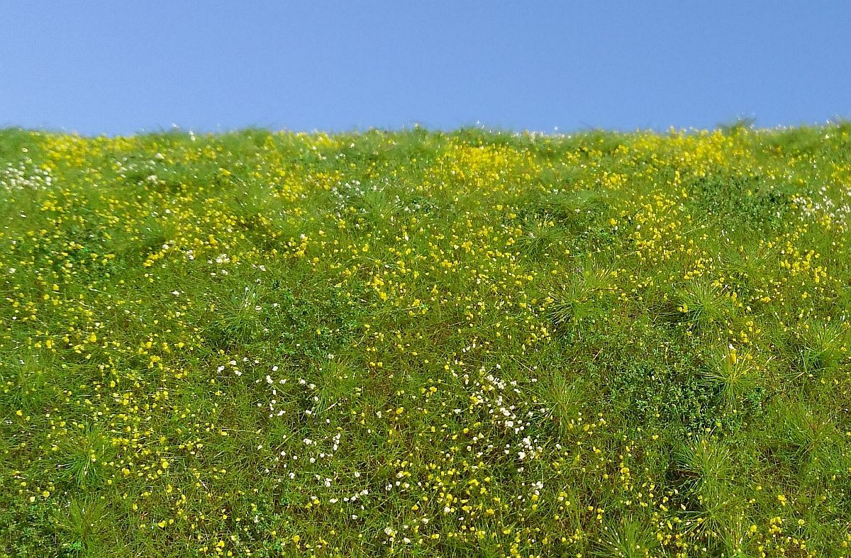 Blooming meadow - spring (18x28cm)