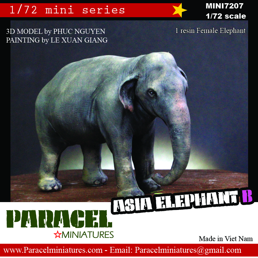 Asian Elephant - female