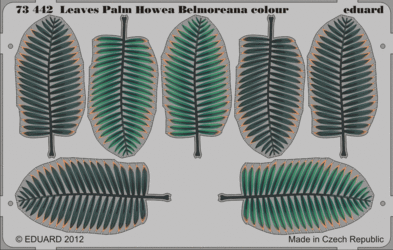 Palm Howea Belmoreana Leaves