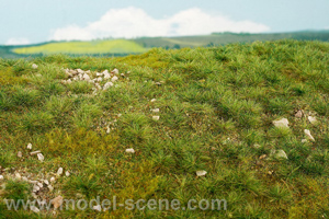 Mountain meadow with small stones - early summer (18x28cm) - Click Image to Close