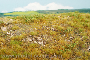 Mountain meadow with medium stones - late summer (18x28cm)