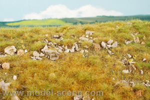 Mountain meadow with large stones - late summer (18x28cm)