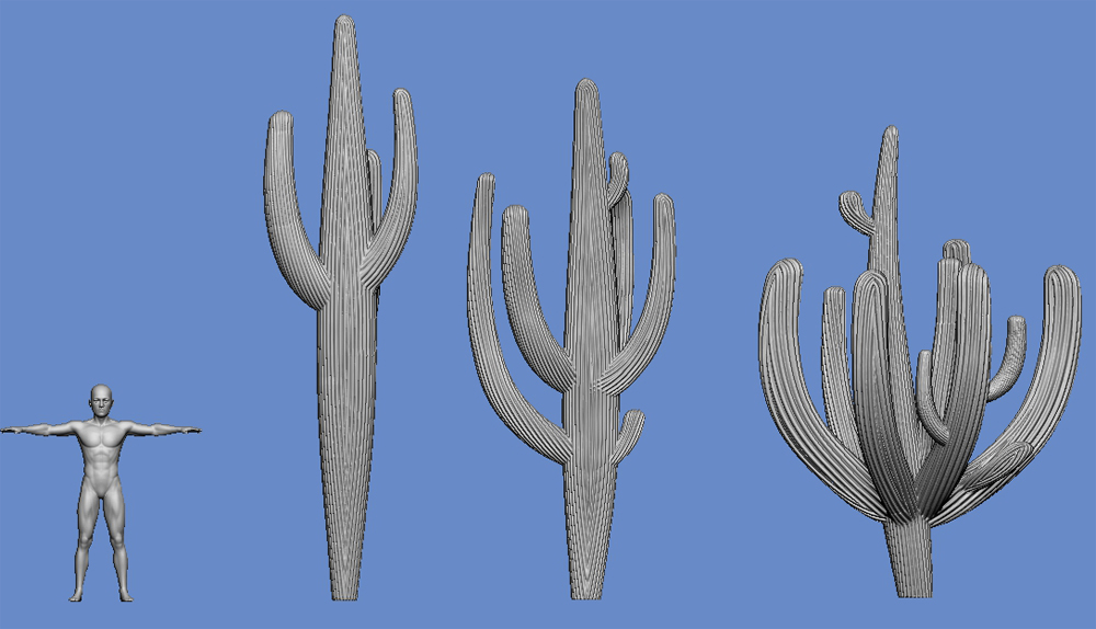 Cactus - type 5