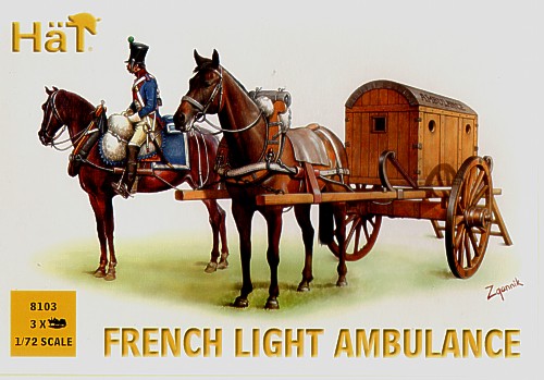 French Light Ambulance - Click Image to Close